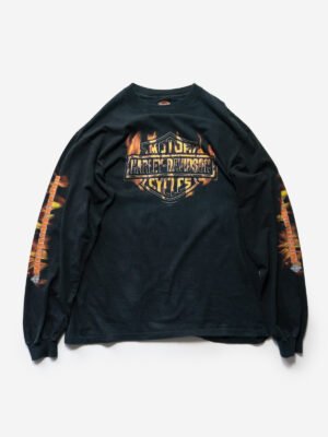 DSC08585-Editar Harley-Davidson Long Sleeve (1999)